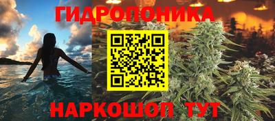 гашик Рязань