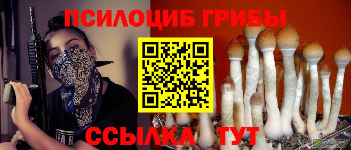 Псилоцибиновые грибы мухоморы Сертолово