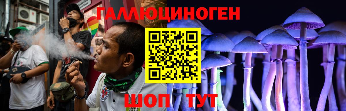 Сертолово  Галлюциногенные грибы мицелий  Вход с VPN 