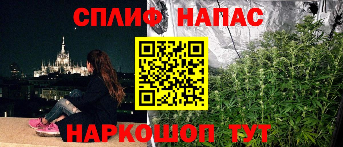 Бошки марихуана план Сертолово
